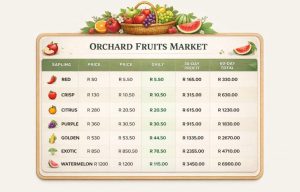 How to earn on Orchardfruitsmarket.netlify.app