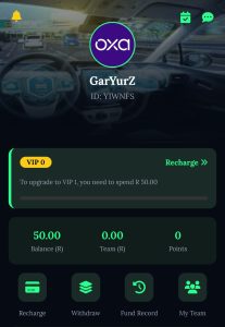 How to withdraw on Oxaandbeep.space