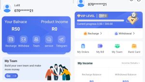 Aadiamondfunds.com review 