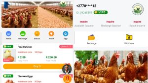 Bachickenranch.store Review