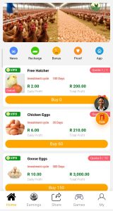 How to earn on Bachickenranch.store